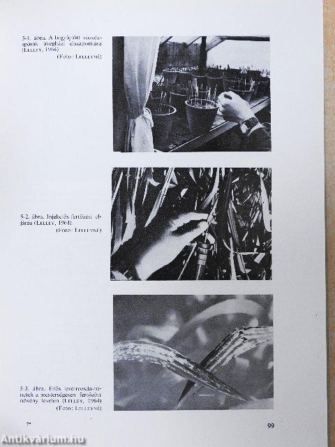 Mezőgazdasági növények nemesítése