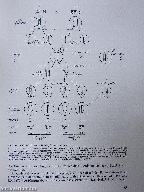 Mezőgazdasági növények nemesítése