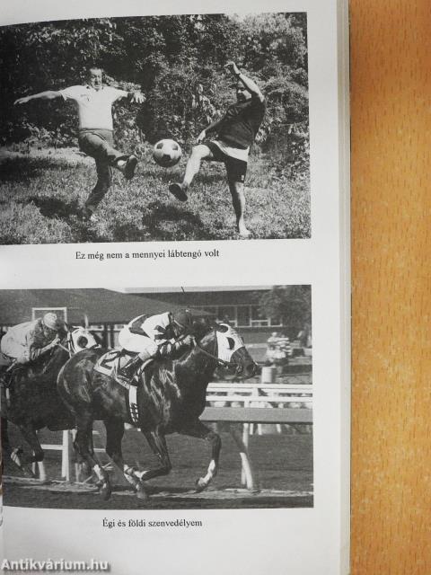 Mennyei lábtengó (dedikált példány)