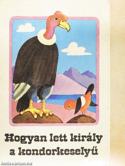 Hogyan lett király a kondorkeselyű