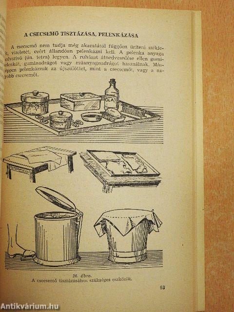 Nagylányok iskolája