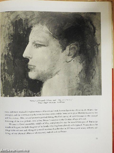 Picasso the blue and rose periods