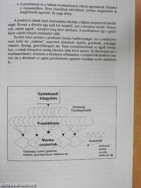 Civil kontroll vagy társszolgálat