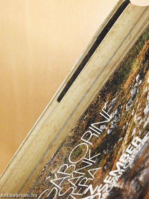 Az ősember Magyarországon