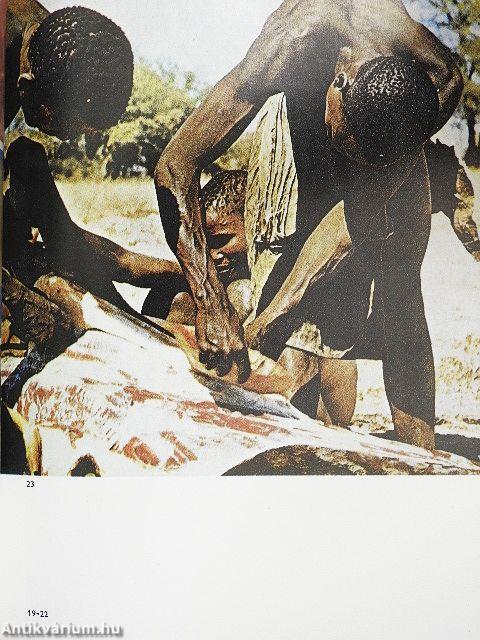 Az ősember Magyarországon