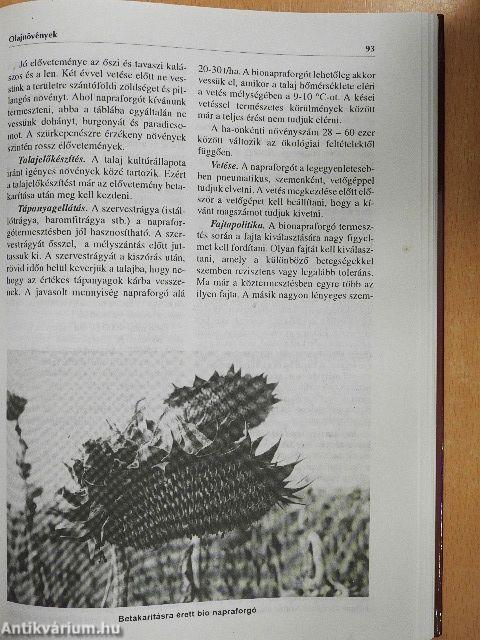 Szántóföldi és kertészeti növénytermesztés