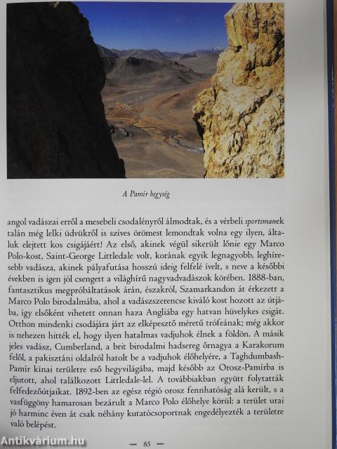 Sziklák peremén (dedikált példány)