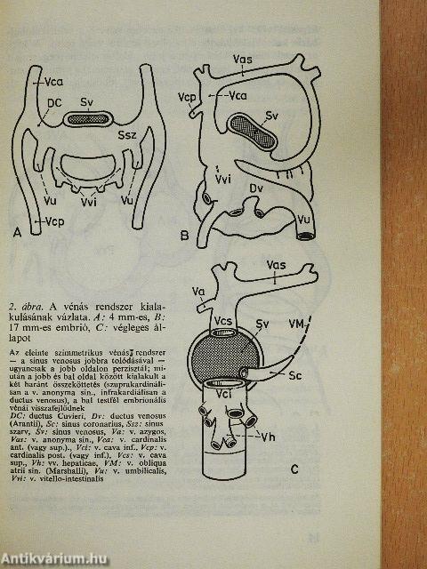 A biológia aktuális problémái 23.