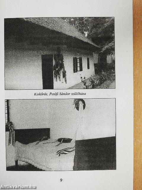 A Petőfi és a Szendrey család