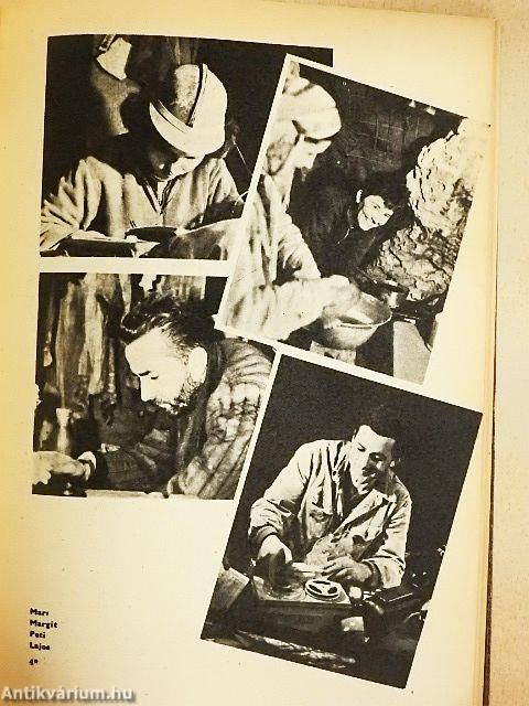 30 nap a föld alatt