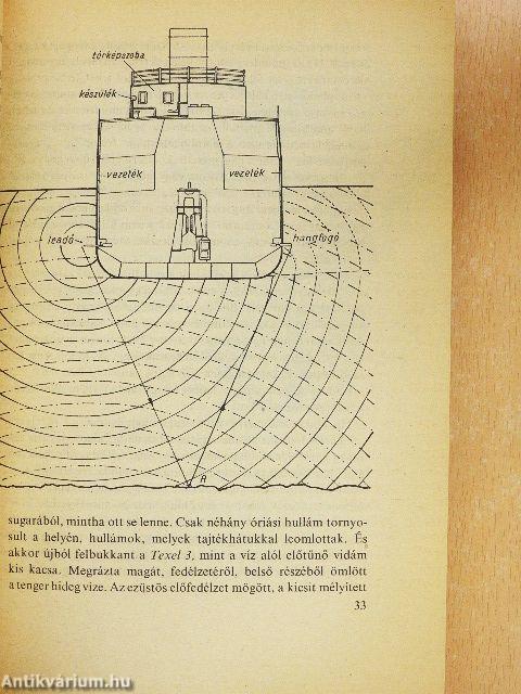 Kalózok, bálnák, tengerek