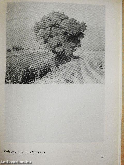 Nyolcvan éves a szolnoki művésztelep