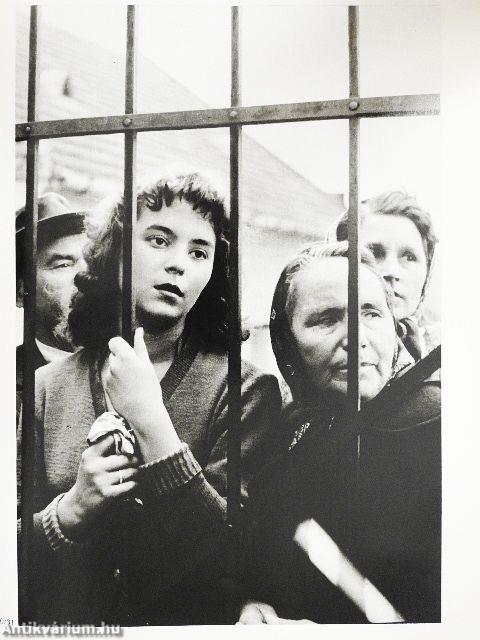 Návraty k Zivému Pramenu