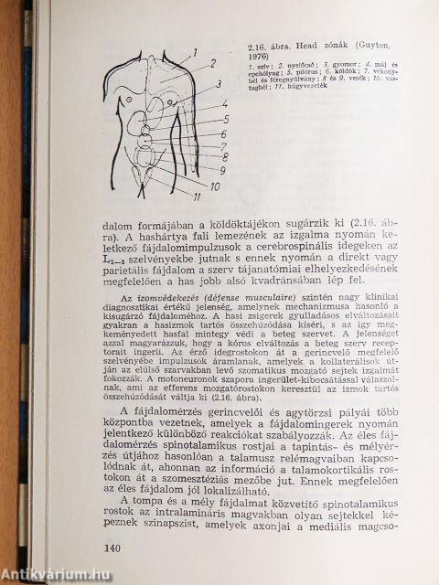 Az életműködések szabályozása az emberi szervezetben