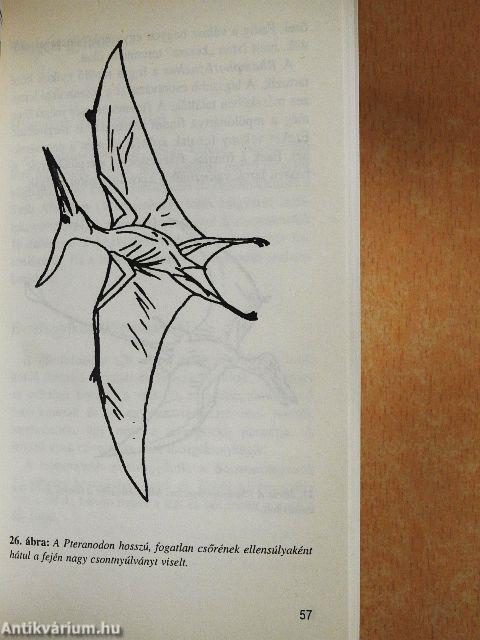 Utazás a dinoszauruszok korába