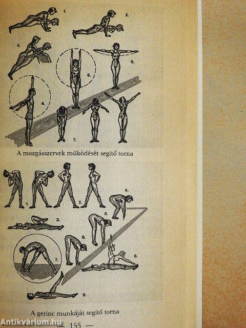 Táplálékod legyen gyógyítód!