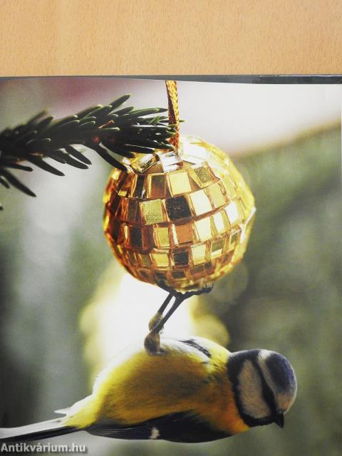 Madarak énekei (dedikált példány)