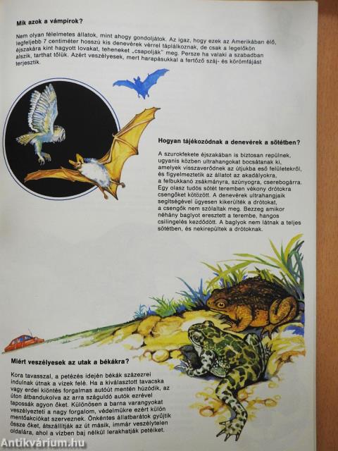 Kérdések világa (dedikált példány)