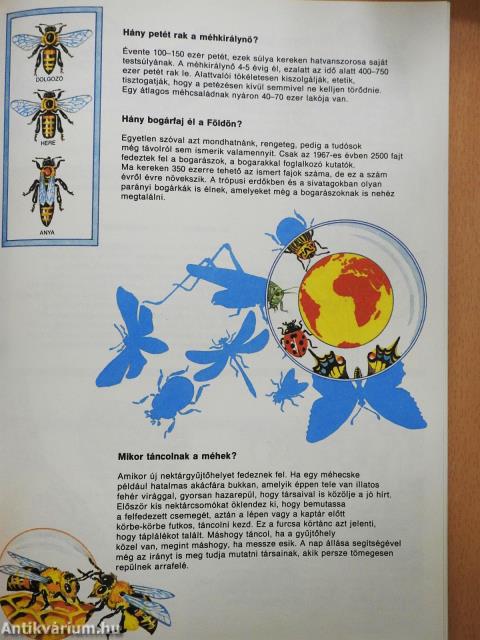 Kérdések világa (dedikált példány)
