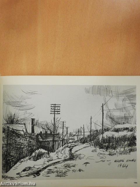 Fogadj be, régi környék! (dedikált példány)