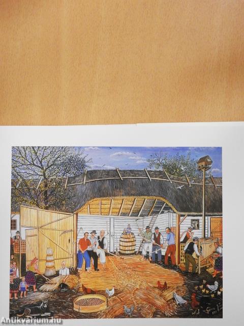 Gyermekkorom faluja (dedikált példány)