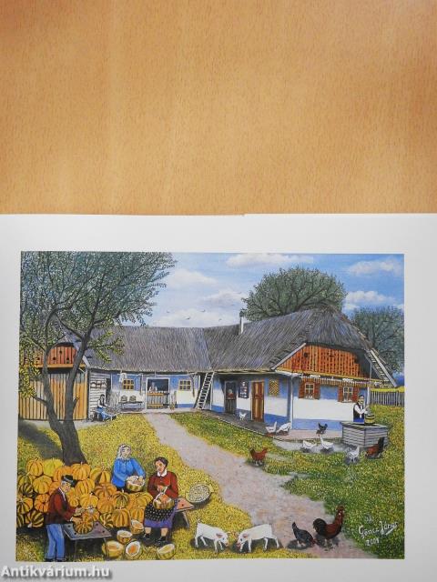 Gyermekkorom faluja (dedikált példány)