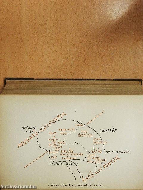 Physiologiai és psychologiai aesthetika