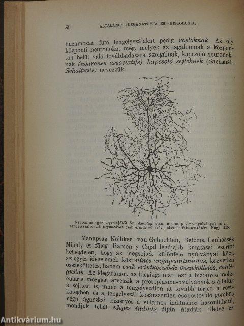 Physiologiai és psychologiai aesthetika