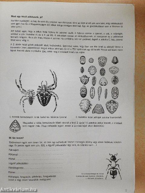 Nyitott szemmel Herman Ottó útjain