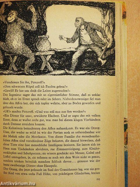 Die geheimnisvolle Insel