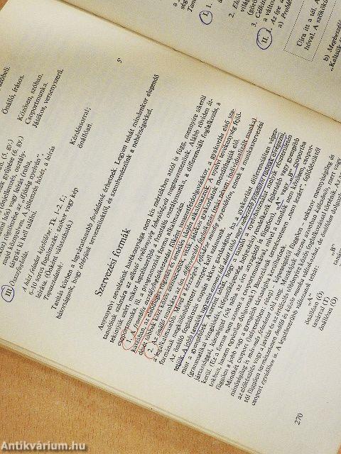 Anyanyelvi nevelés az általános iskola felső tagozatában