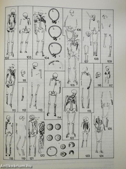 Das Früharpadenzeitliche gräberfeld von Szabolcs (dedikált példány)