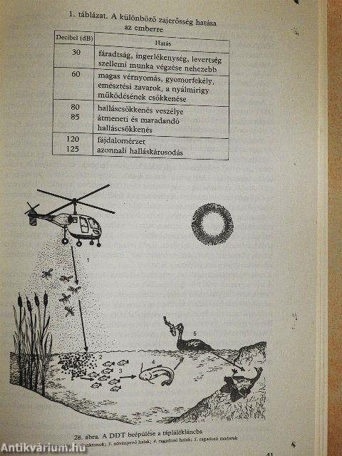 Játékos természetismeret