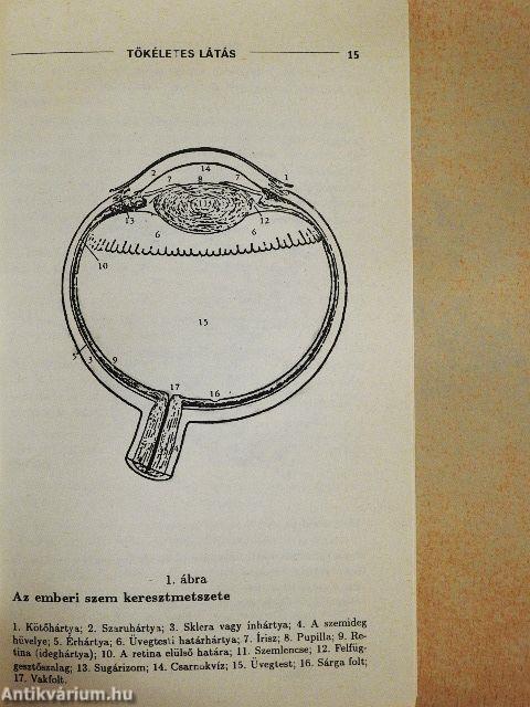 Tökéletes látás szemüveg nélkül