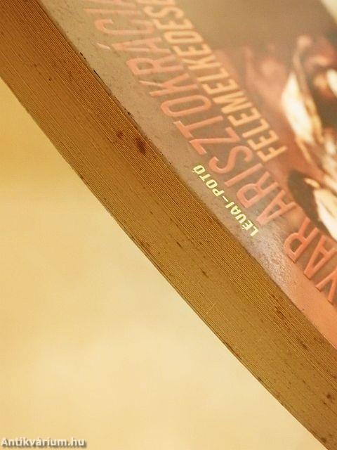 A magyar arisztokrácia felemelkedése