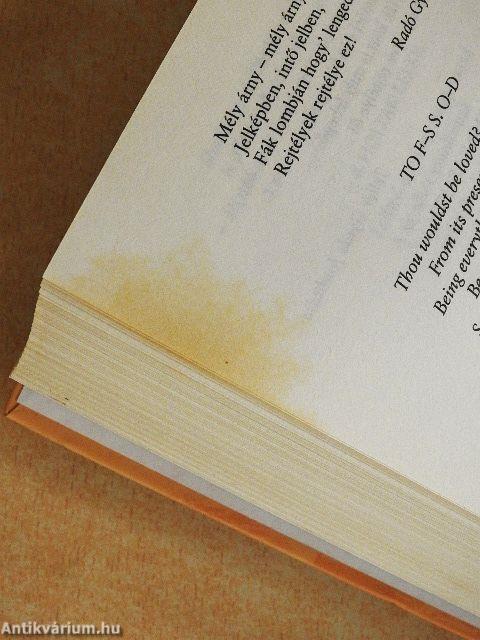 Edgar Allan Poe összes versei