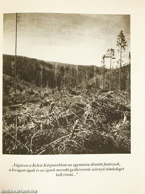 A Keleti- és a Déli-Kárpátokban