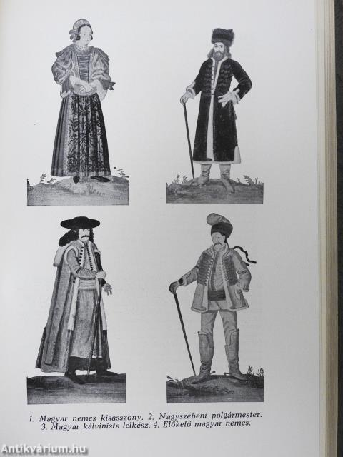 Magyar történet I-V.