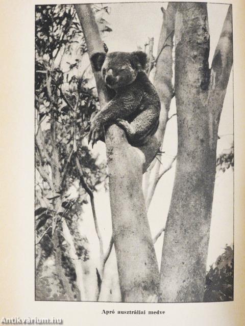 "10 kötet A világjárás hősei sorozatból (nem teljes sorozat)"