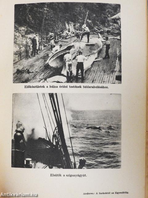 "10 kötet A világjárás hősei sorozatból (nem teljes sorozat)"