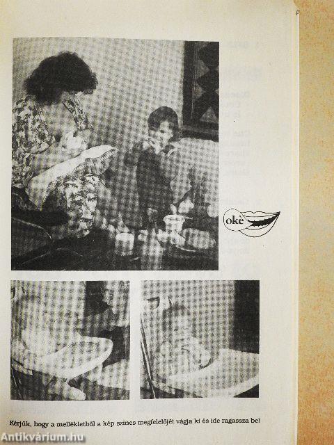 Angol társalgási képeskönyv alap-, közép- és felsőfokon