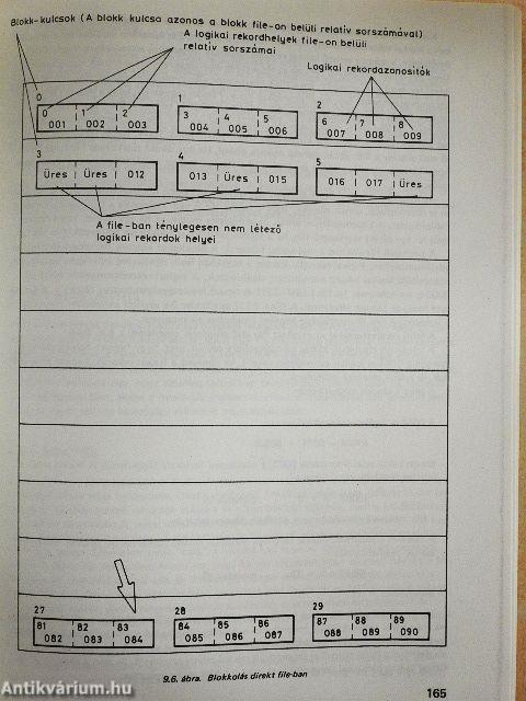 Számítógépes adatkezelés