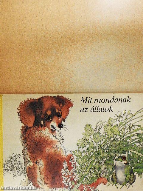 Mit mondanak az állatok