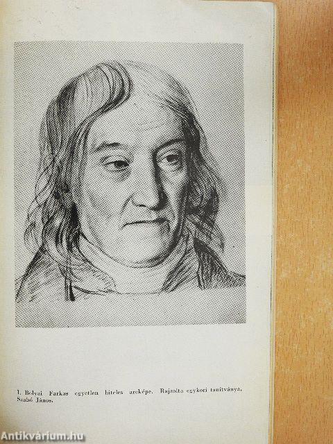 Bolyai Farkas a matematikus