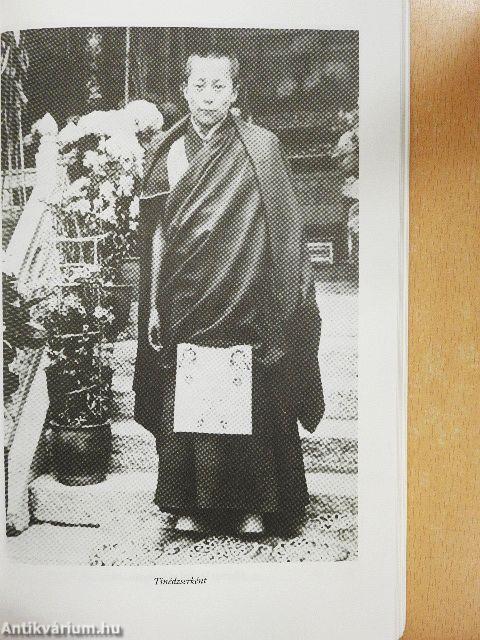 Száműzetésben - szabadon