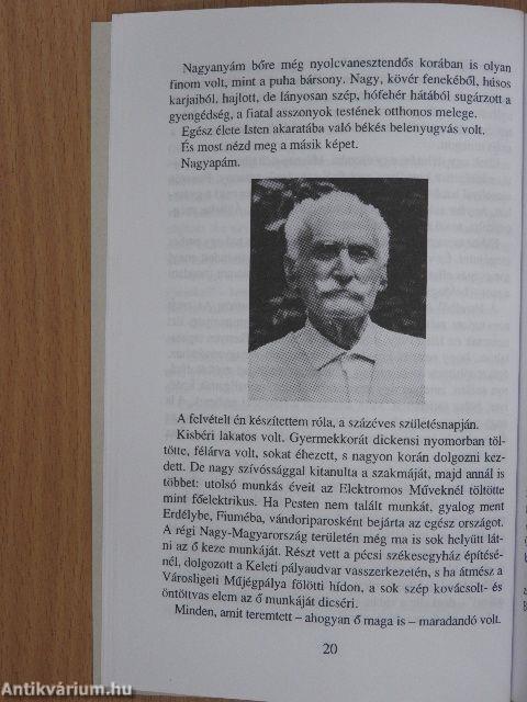 Lomb és gyökér (dedikált példány)