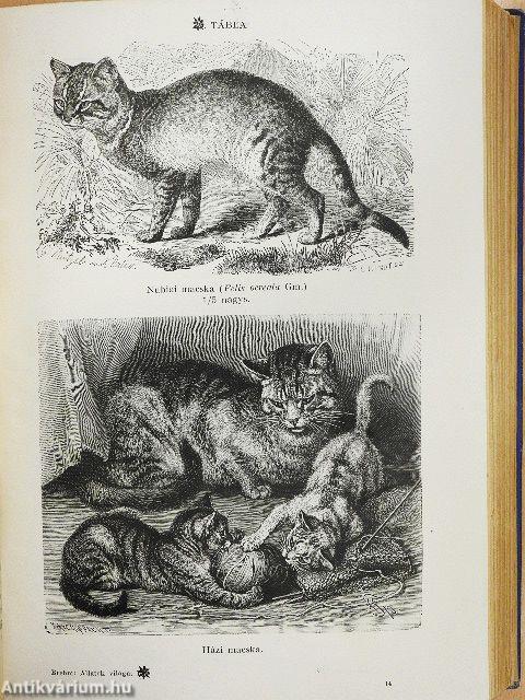 Brehm - Az állatok világa 1-2.