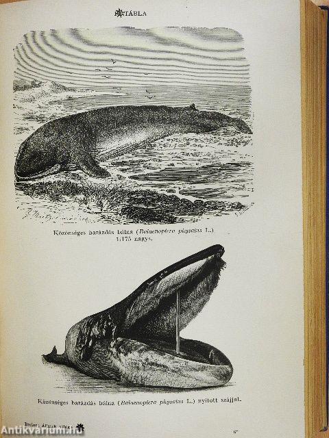 Brehm - Az állatok világa 1-2.