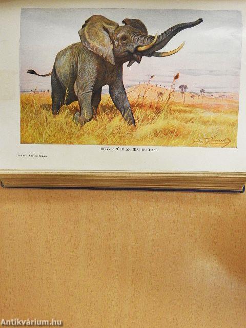 Brehm - Az állatok világa 1-2.