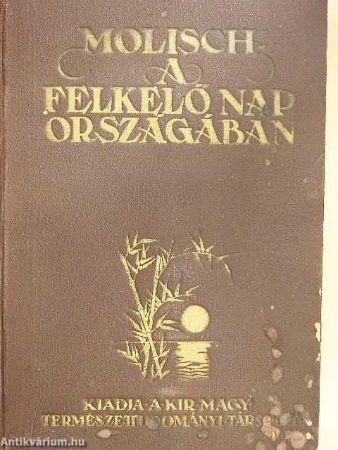 A felkelő nap országában